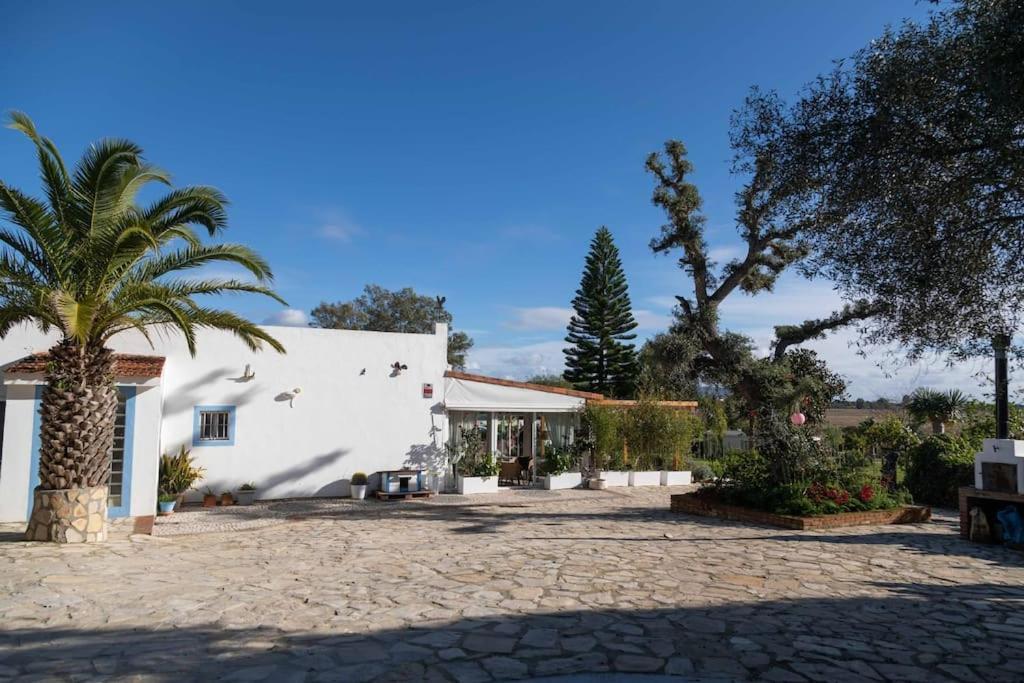 Soul Casas Βίλα Vejer de la Frontera Εξωτερικό φωτογραφία